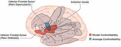 ‘One region to control them all'- the surprising effectiveness of network control theory in predicting post-stroke recovery from aphasia